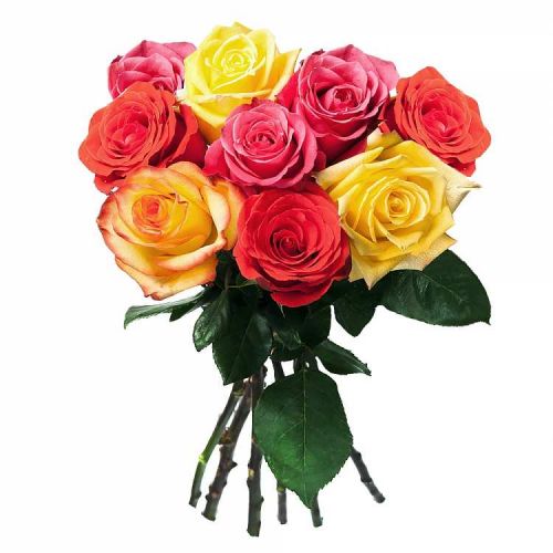 Заказать с доставкой 9 разноцветных роз по Ростову-на-Дону