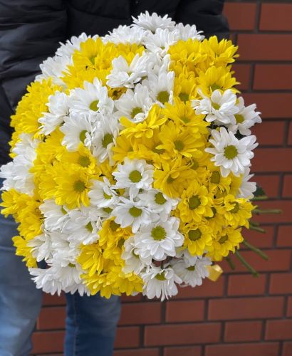 Купить букет из разноцветных хризантем с доставкой по Ростову-на-Дону
